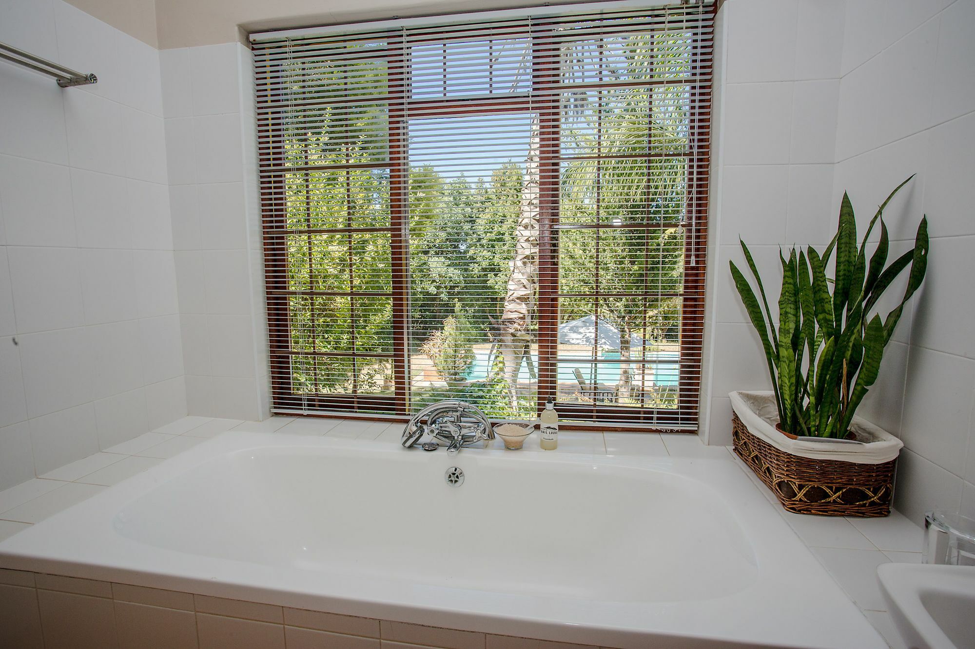 Dirtopia Trail Lodge Stellenbosch Eksteriør billede